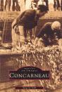 Concarneau I - Preview