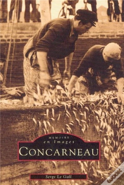 Capa do artigo Concarneau I