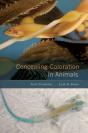 Concealing Coloration In Animals - Preview