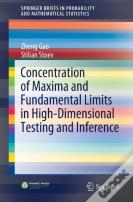 Concentration Of Maxima And Fundamental Limits In High-Dimensional Testing And Inference