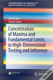 Capa do artigo Concentration Of Maxima And Fundamental Limits In High-Dimensional Testing And Inference