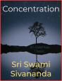 Concentration - Preview