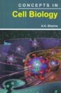 Concepts In Cell Biology - Preview