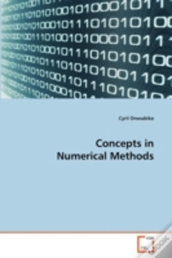 Capa do artigo Concepts In Numerical Methods