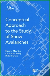 Conceptual Approach To The Study Of Snow Avalanches