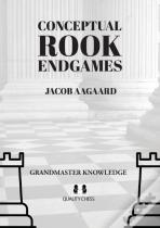 Conceptual Rook Endgames