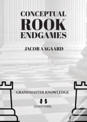 Capa do artigo Conceptual Rook Endgames