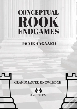 Capa do artigo Conceptual Rook Endgames