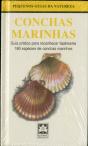 Conchas Marinhas - Preview