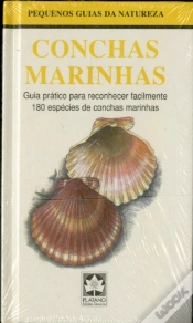 Capa do artigo Conchas Marinhas