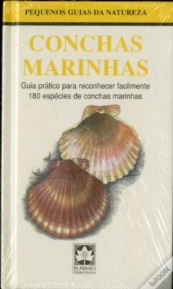 Capa do artigo Conchas Marinhas