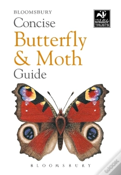 Capa do artigo Concise Butterfly And Moth Guide