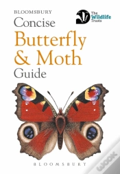 Capa do artigo Concise Butterfly And Moth Guide