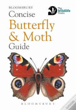 Capa do artigo Concise Butterfly And Moth Guide
