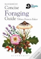 Capa do artigo Concise Foraging Guide