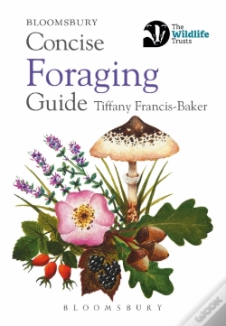 Capa do artigo Concise Foraging Guide