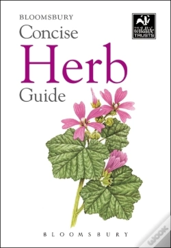 Capa do artigo Concise Herb Guide