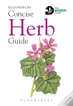 Capa do artigo Concise Herb Guide