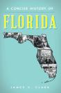Concise History Of Florida - Preview
