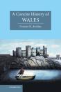 Concise History Of Wales - Preview