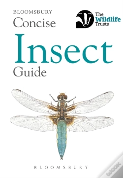 Capa do artigo Concise Insect Guide
