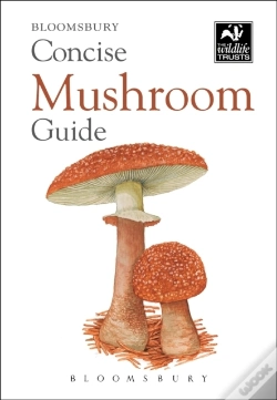 Capa do artigo Concise Mushroom Guide