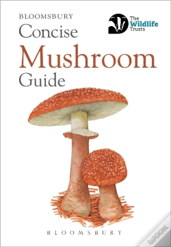 Capa do artigo Concise Mushroom Guide
