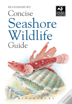 Capa do artigo Concise Seashore Wildlife Guide