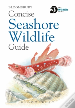 Capa do artigo Concise Seashore Wildlife Guide