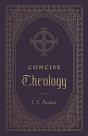 Concise Theology - Preview