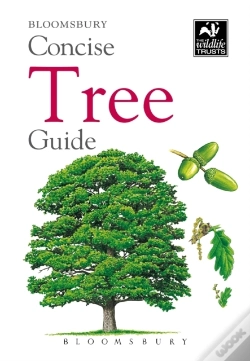 Capa do artigo Concise Tree Guide