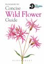 Concise Wild Flower Guide - Preview