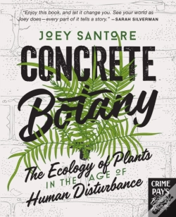 Capa do artigo Concrete Botany