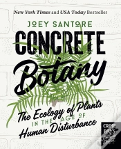 Capa do artigo Concrete Botany
