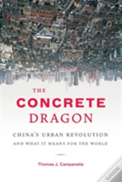 Capa do artigo Concrete Dragon