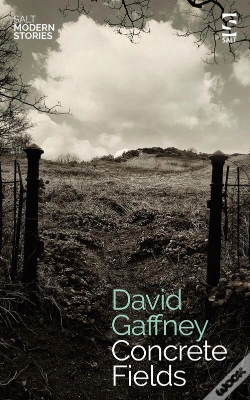 Capa do artigo Concrete Fields