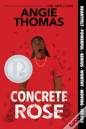 Capa do artigo Concrete Rose