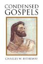 Condensed Gospels - Preview