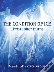 Capa do artigo Condition Of Ice