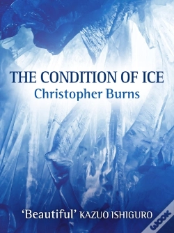 Capa do artigo Condition Of Ice