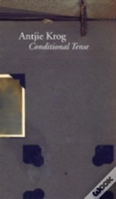 Conditional Tense