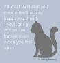 Condolence Book For Cats  Hardback Cover - Preview