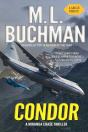 Condor: An Ntsb-Military Technothriller - Preview