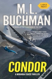 Condor: An Ntsb-Military Technothriller