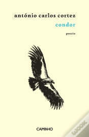 Capa do artigo Condor