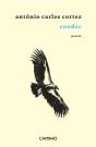 Condor - Preview