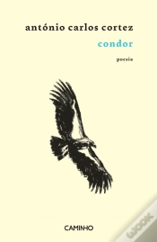 Capa do artigo Condor