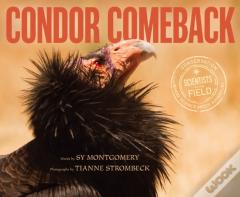 Condor Comeback