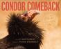 Condor Comeback - Preview