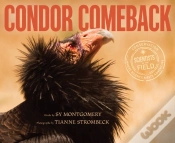 Capa do artigo Condor Comeback